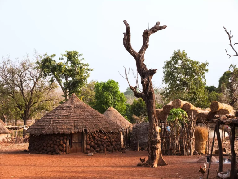 Si vous êtes à la recherche d'hébergements authentiques pour un voyage au Sénégal avec vos enfants, vous êtes au bon endroit ! Dans cet article, je vous livre toutes les adresses préférées de notre famille d'expat'. Coup de cœur garanti !