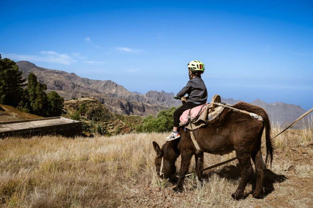 Balade en âne sur Santo Antão, un incontournable si vous passez 2 semaines au Cap-Vert