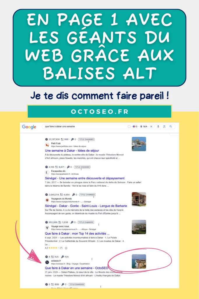Capture d'écran montrant le site OctoSEO en première page Google à côté de Petit Futé et Voyageurs du Monde grâce à l'optimisation des balises alt, technique SEO efficace pour les images