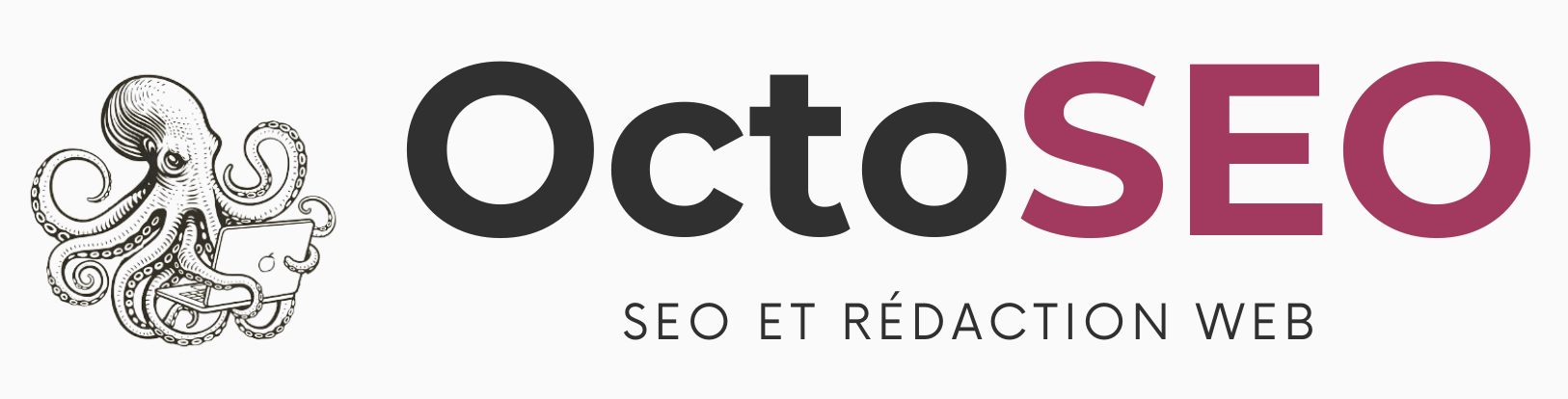 logo rectangulaire d'OctoSEO, coach SEO et rédaction web