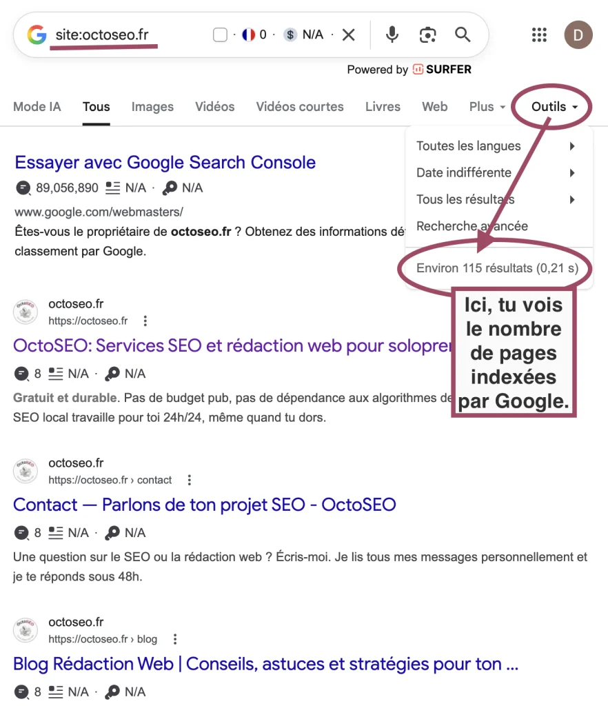 Capture d’écran des résultats obtenus avec la commande “site:” sur Google